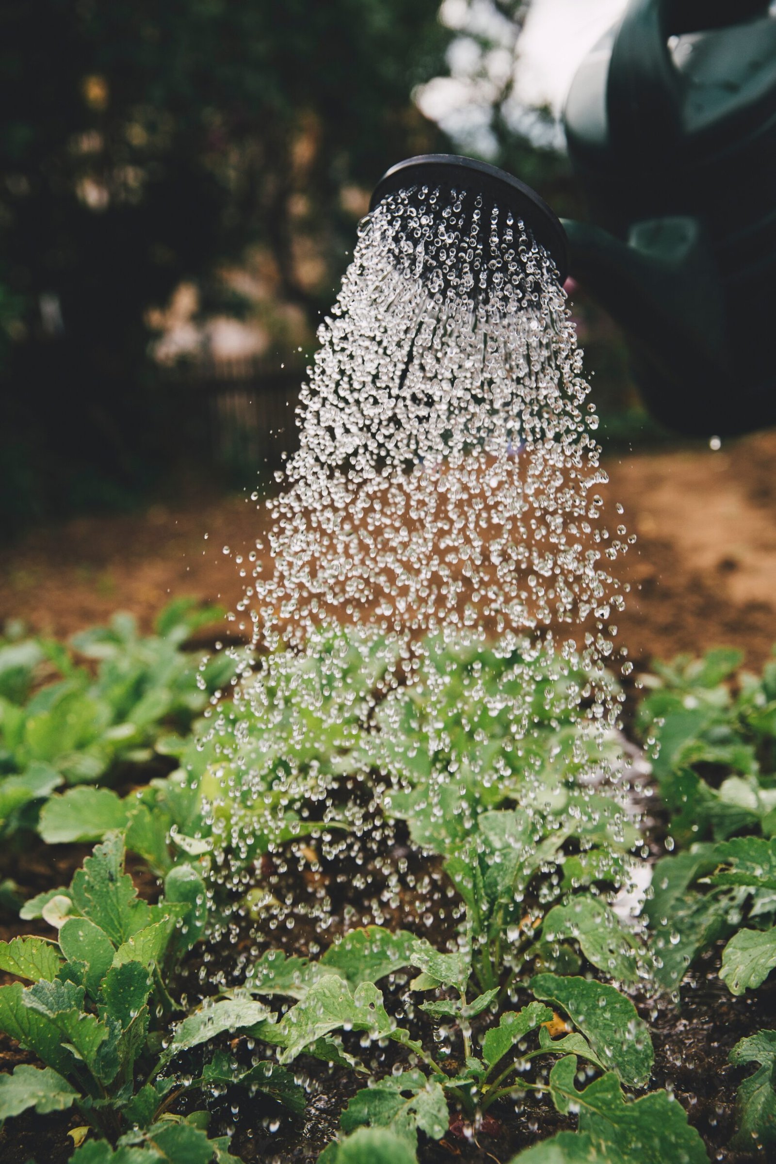 The Best Use for Grass Clippings in the Garden