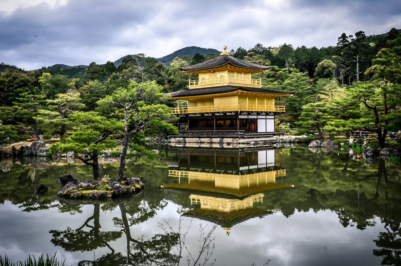 Beauty of Japanese Gardens